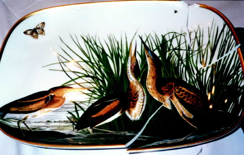 Birds of America 14" Oval Serving Platter by Rosenthal - Continental-1