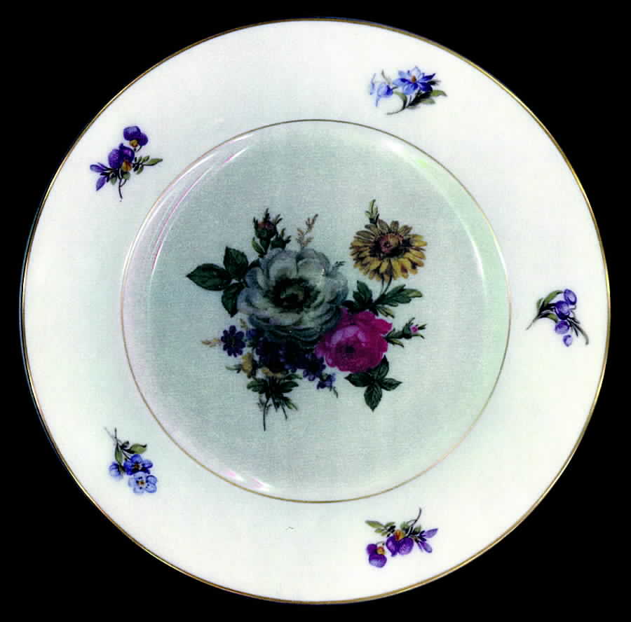 Rembrandt Salad Plate by Royal York (Germany)-1