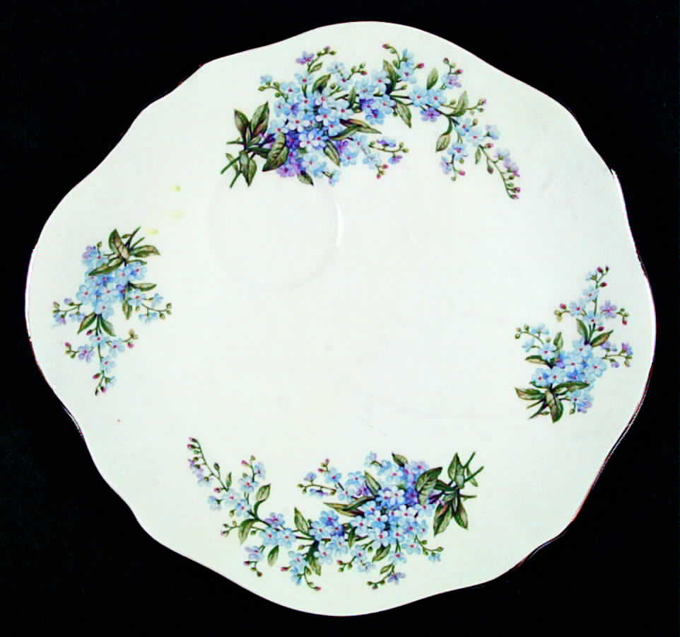 RVA30 Snack Plate by Royal Vale-1