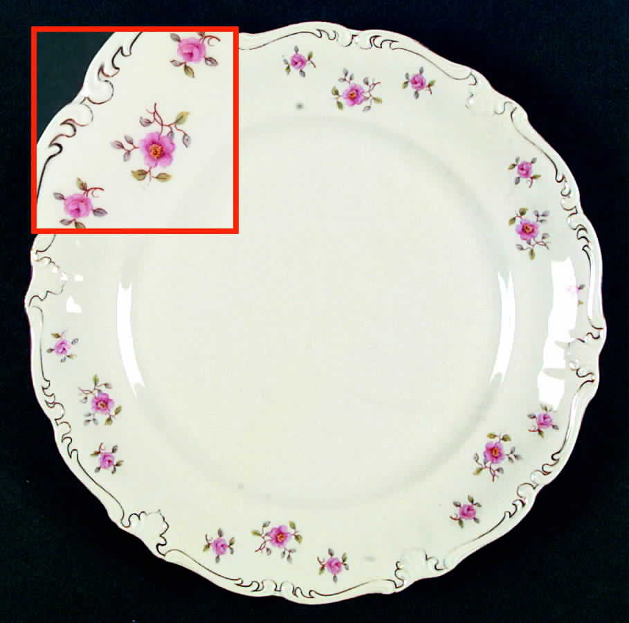 Wild Rose (No Verge) Dinner Plate by Royal Heidelberg-1