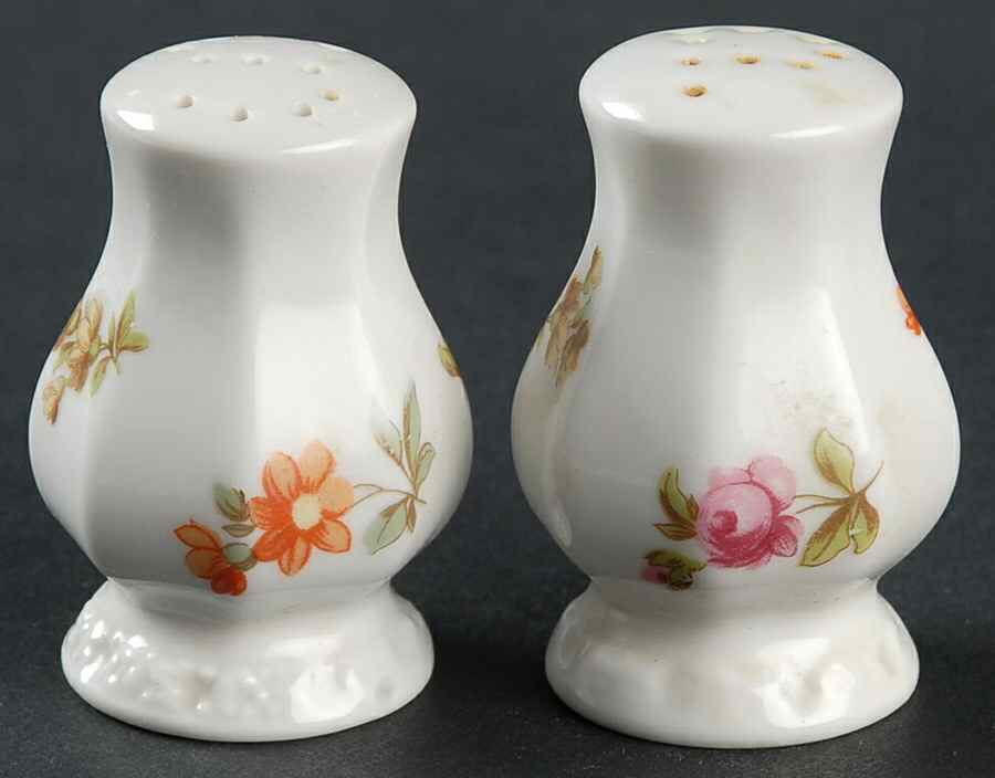 Flowers (Maria Stamp) Salt & Pepper Set by Rosenthal - Continental-1