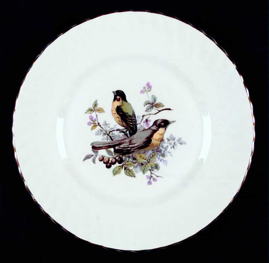RIA35 Salad Plate by Rosina-Queens-1