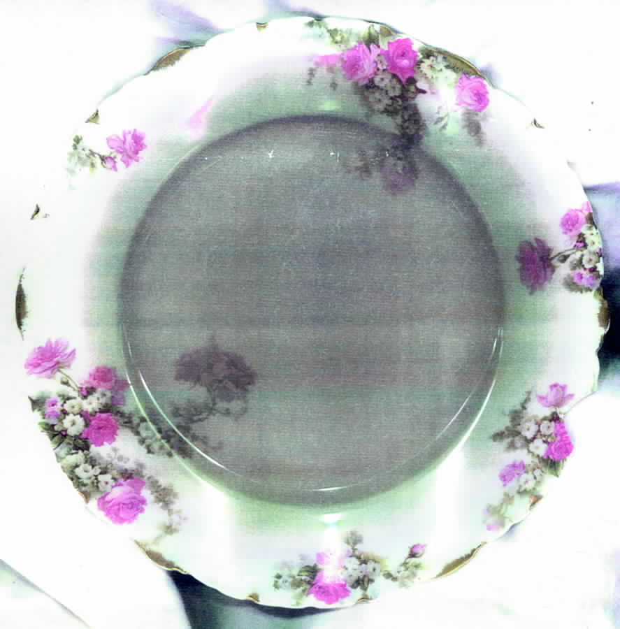 2765 Dinner Plate by Rosenthal - Continental-1