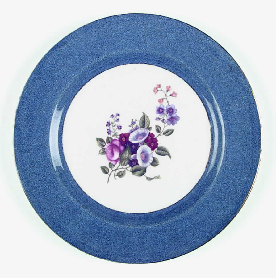 H1635 Dinner Plate by Royal Doulton-1