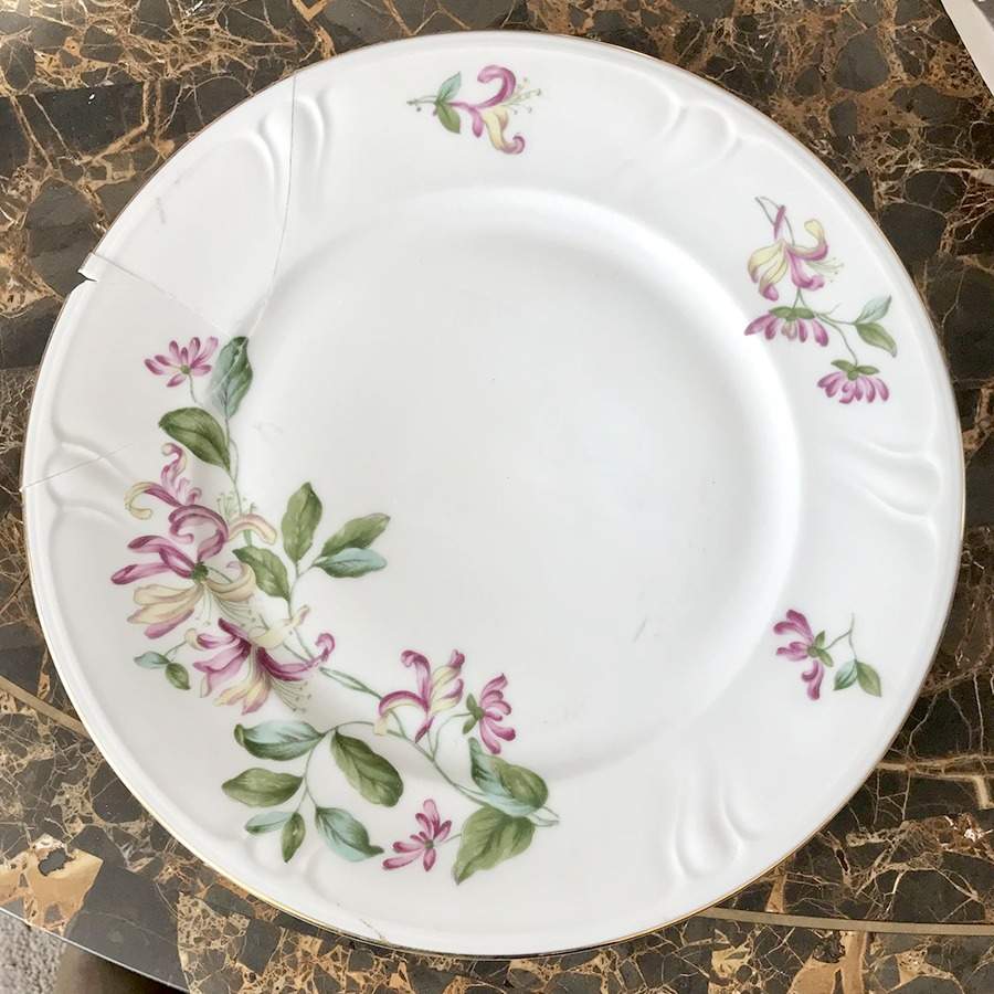 Amelia Dinner Plate by Royal Coburg-1