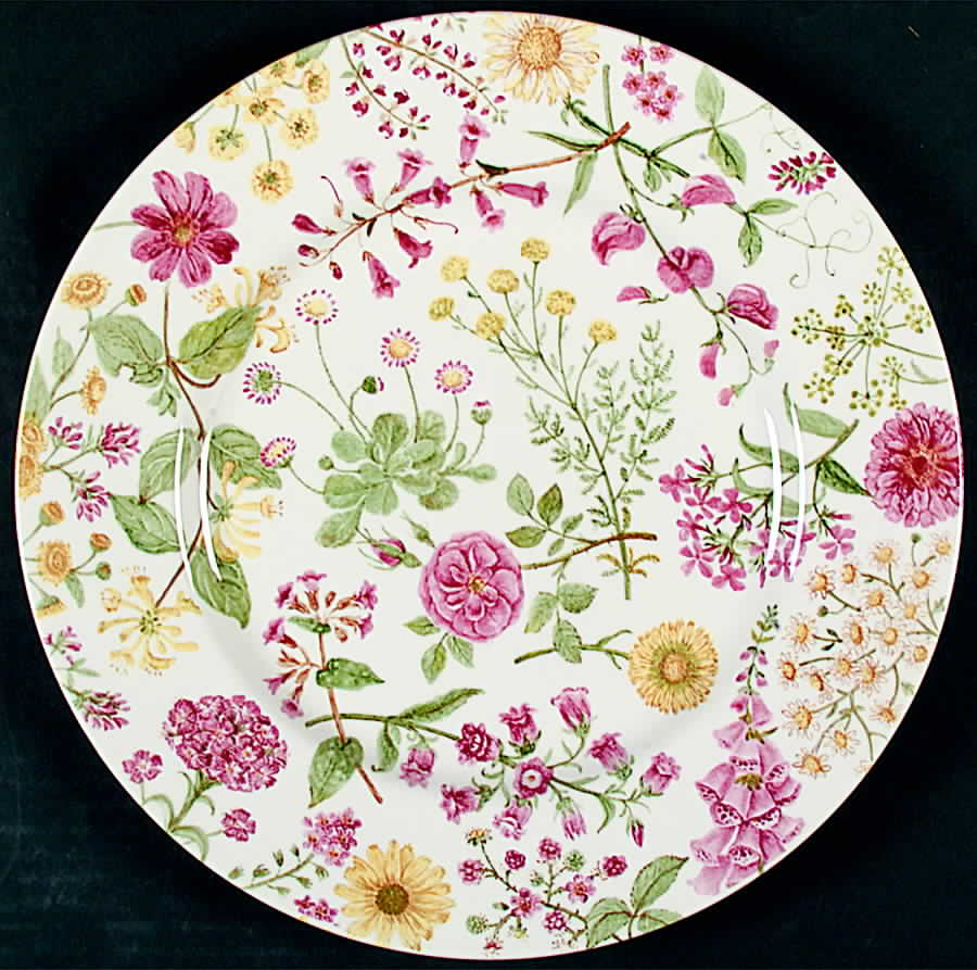 Hedgerow (Earthenware, Wildflowers) Dinner Plate by Royal Stafford-1