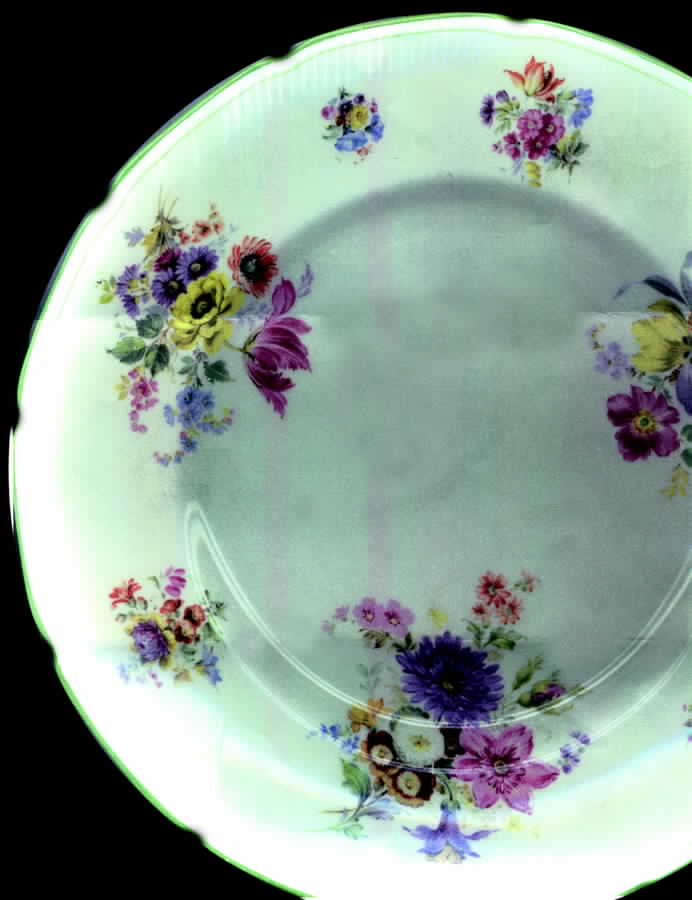 RD114 Dinner Plate by Royal Doulton-1