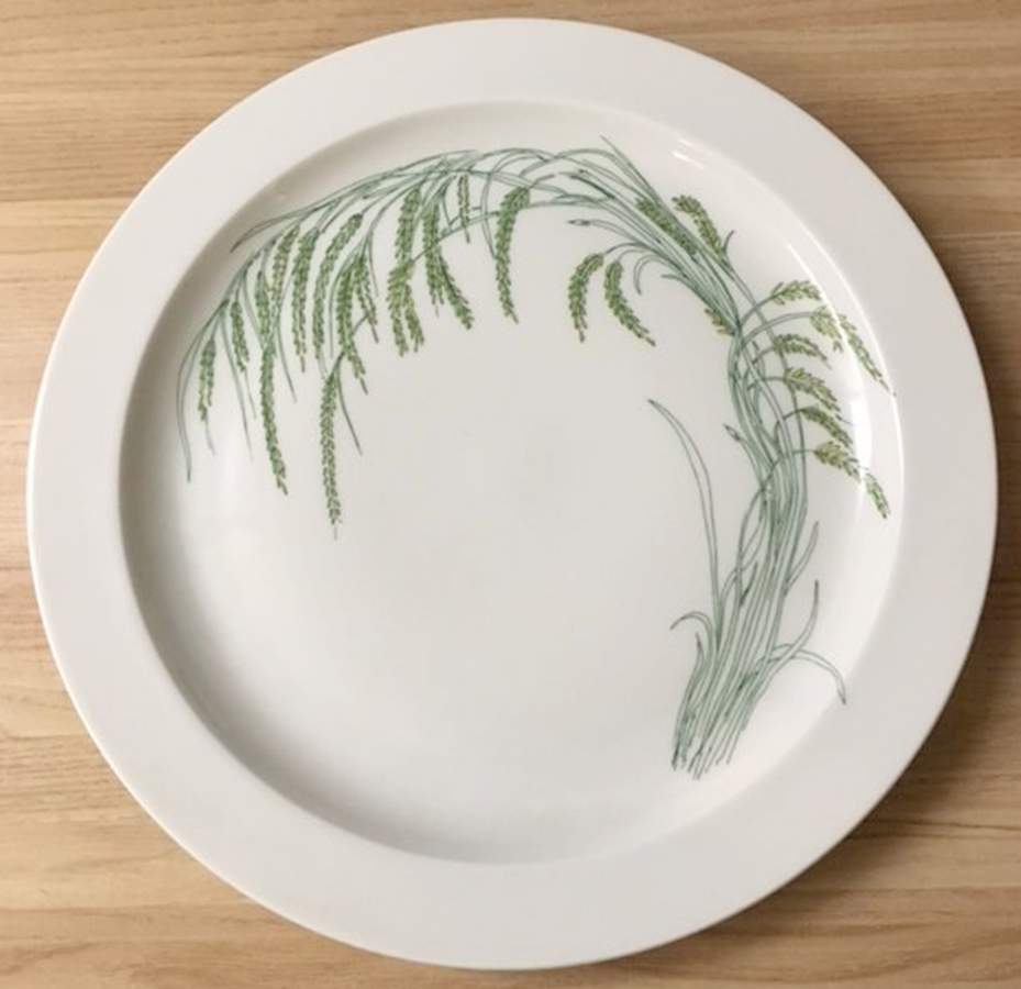 Indian Rice Dinner Plate by Rosenthal - Continental-1
