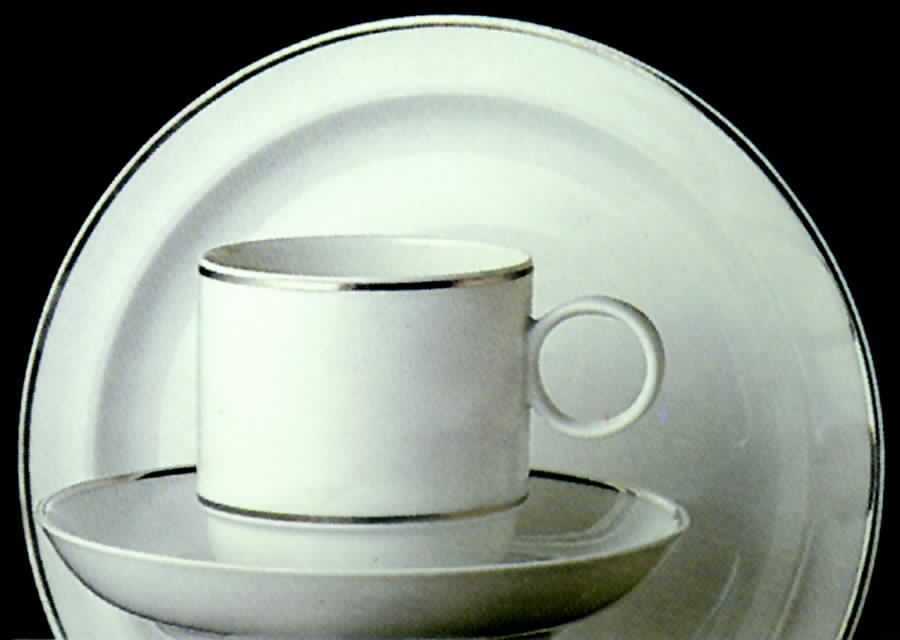 Platinum Band (Duo Shape) Flat Cup & Saucer Set by Rosenthal - Continental-1