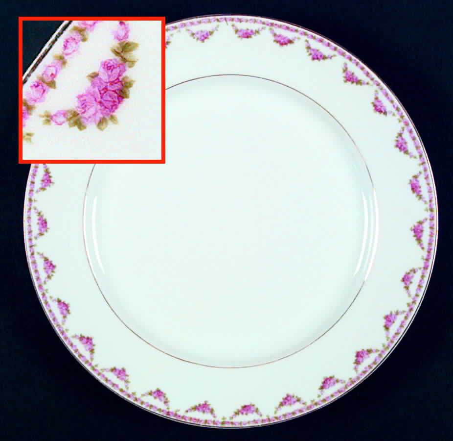 RSC36 Dinner Plate by Royal Schwarzburg-1