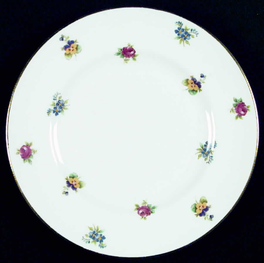 ROV14 Salad Plate by Royal Victoria-1