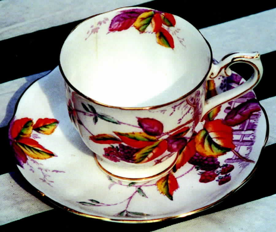 Bramble (Fence) Footed Cup & Saucer Set by Royal Albert-1