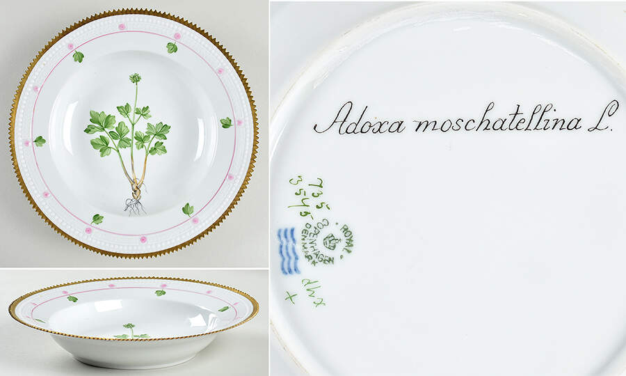 Flora Danica (735 Series) Large Rim Soup Bowl-Adoxa moschatellina L by Royal Copenhagen-1