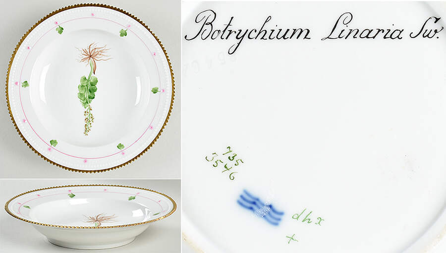 Flora Danica (735 Series) Rim Soup Bowl-Botrychium Linaria Sw by Royal Copenhagen-1