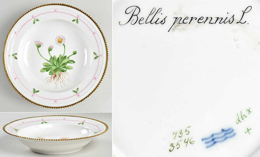 Flora Danica (735 Series) Rim Soup Bowl-Bellis perennis L by Royal Copenhagen-1