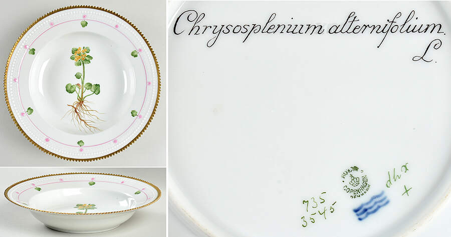 Flora Danica (735 Series) Large Rim Soup Bowl-Chrysosplenium alternifolium L by Royal Copenhagen-1