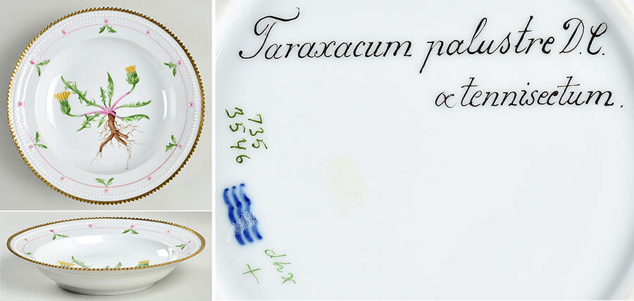 Flora Danica (735 Series) Rim Soup Bowl-Taraxacum palustre DC a tennisectum by Royal Copenhagen-1