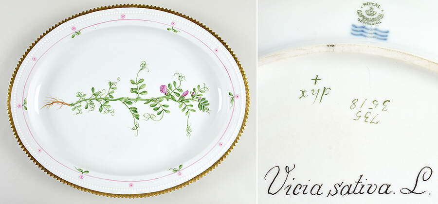 Flora Danica (735 Series) 15" Oval Serving Platter-Vicia sativa L by Royal Copenhagen-1