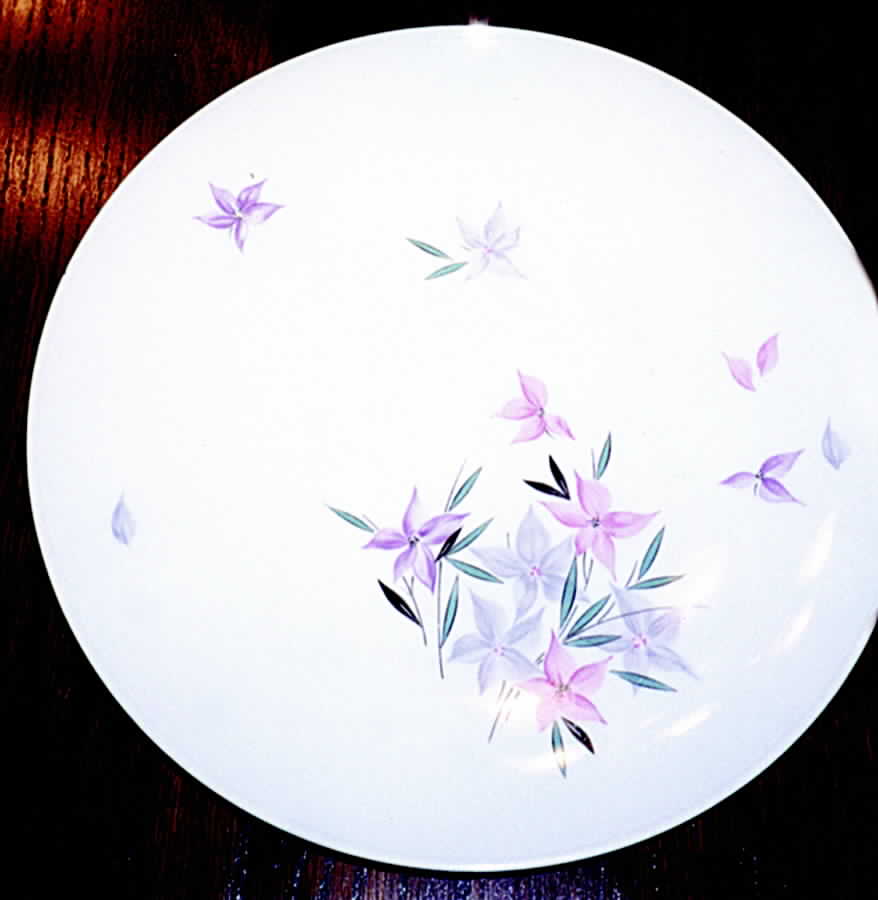 R960 Dinner Plate by Rosenthal - Continental-1