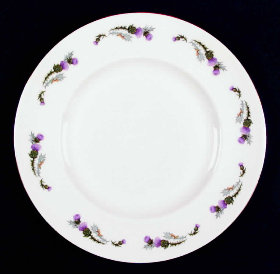 RVA33 Dinner Plate by Royal Vale-1