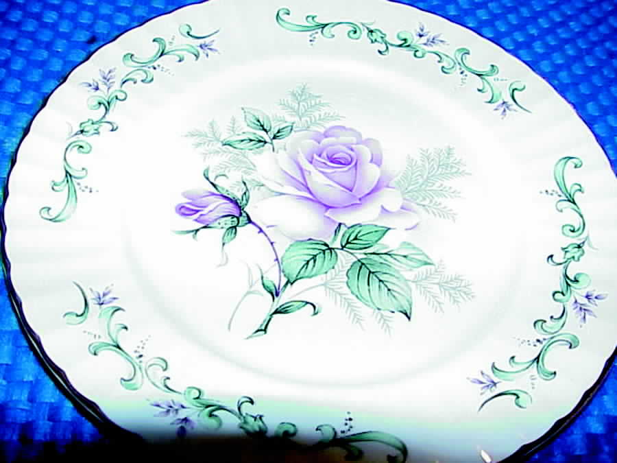 RPN2 Dinner Plate by Royal Patrician-1