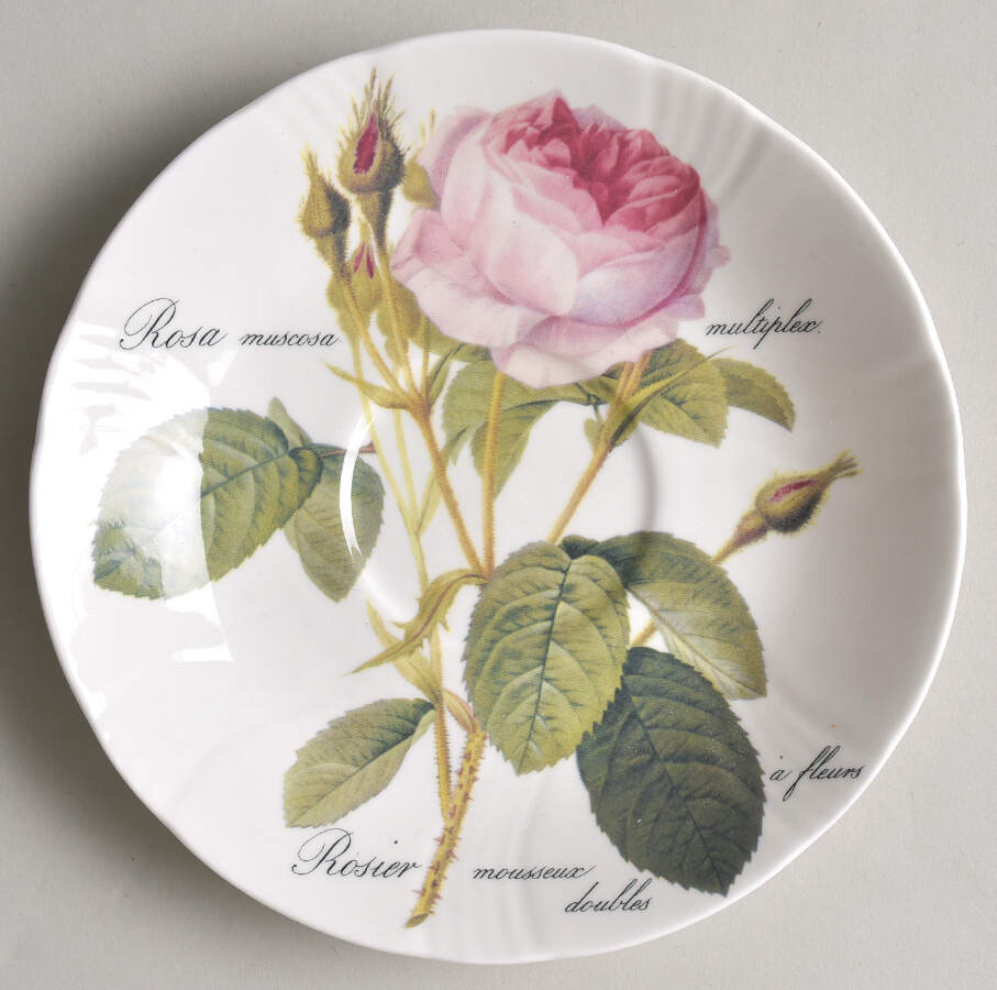 Redoute Roses Saucer for Breakfast Cup by Roy Kirkham-1