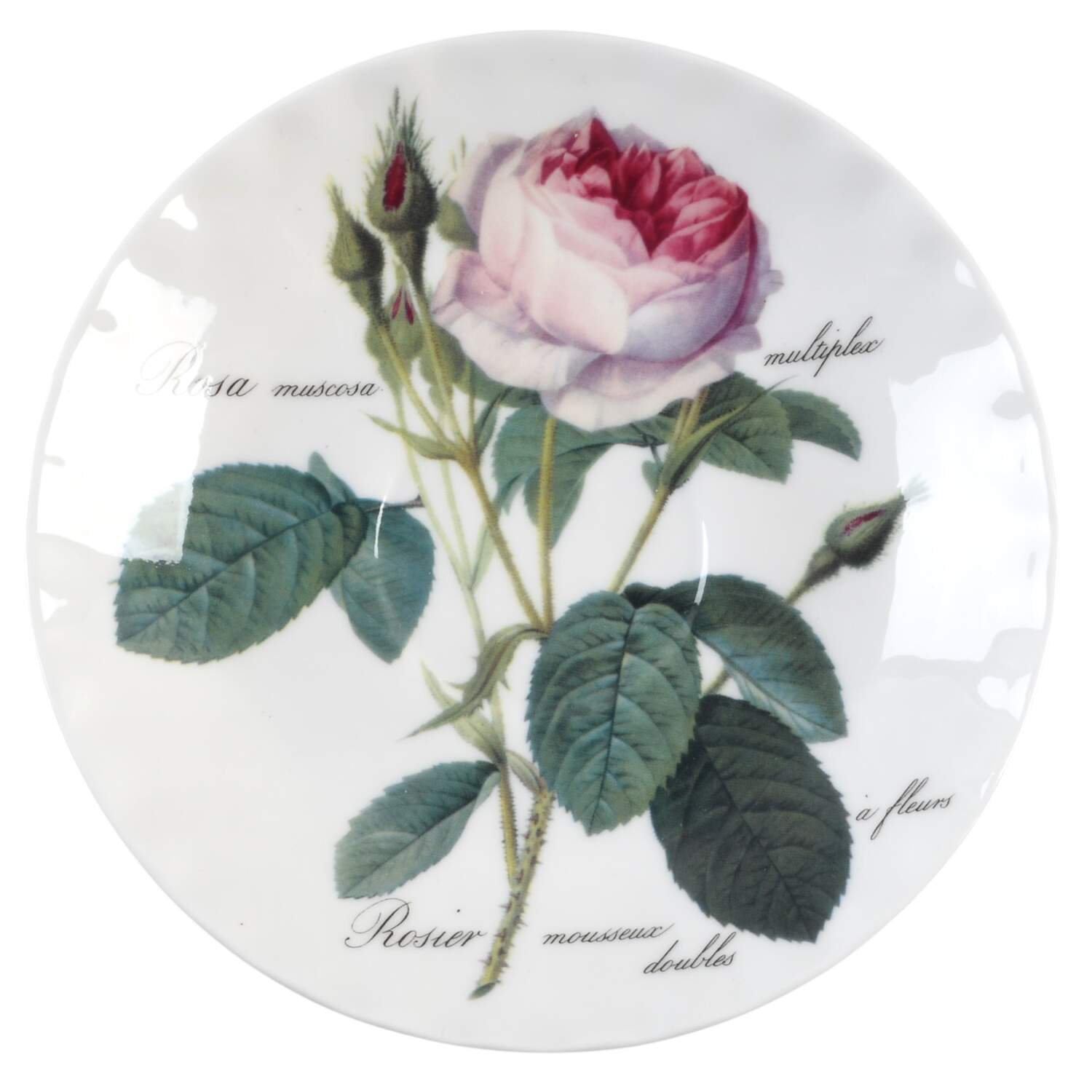 Redoute Roses Saucer by Roy Kirkham-1