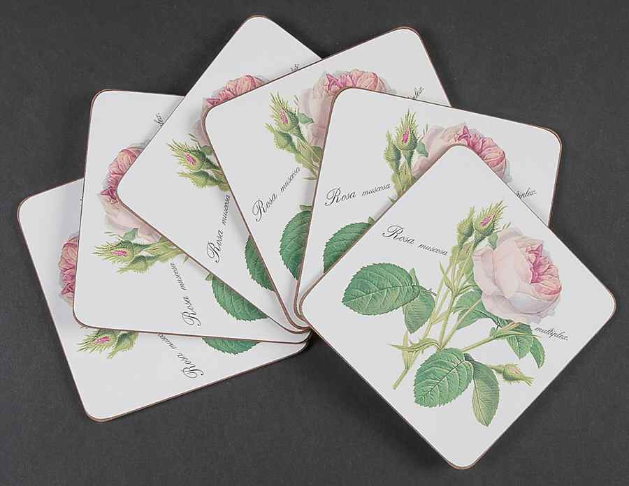 Redoute Roses Square Corkback Coaster - Set of 6 by Roy Kirkham-1