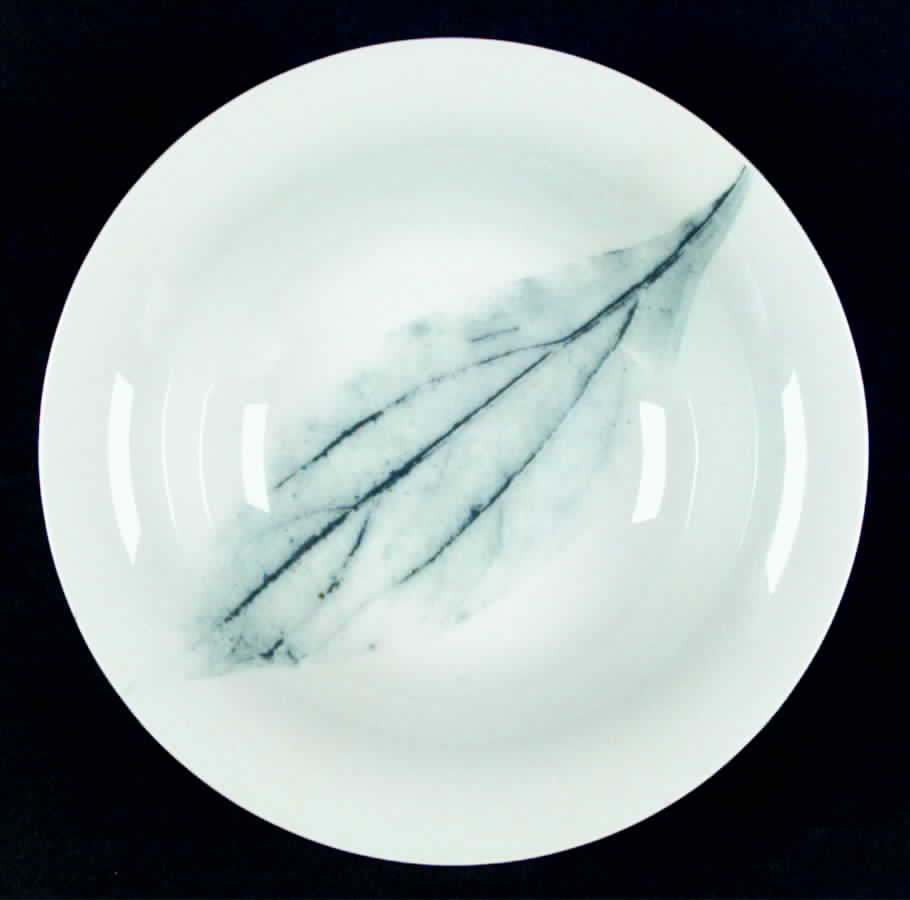 Moon Light Two Coupe Soup Bowl by Rosenthal - Continental-1