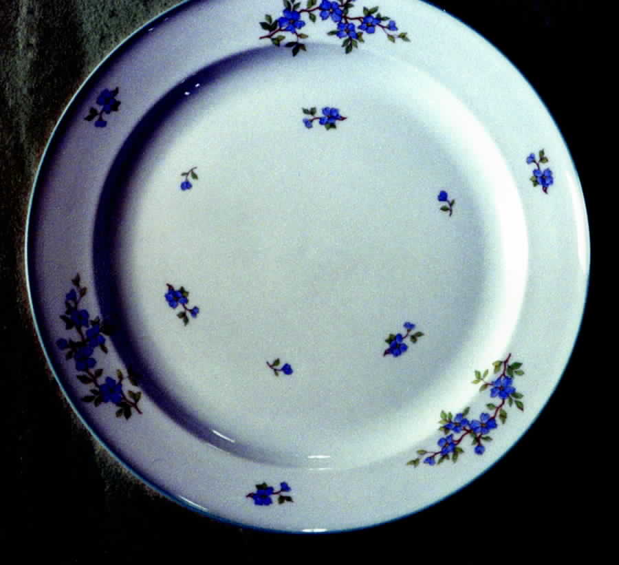 R970 Dinner Plate by Rosenthal - Continental-1
