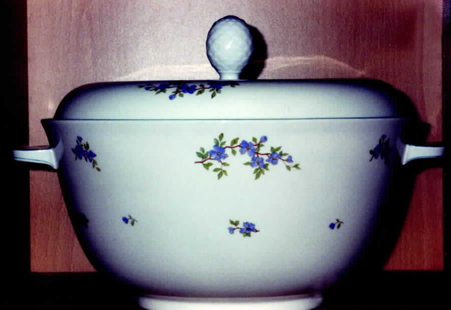 R970 Tureen &  Lid by Rosenthal - Continental-1