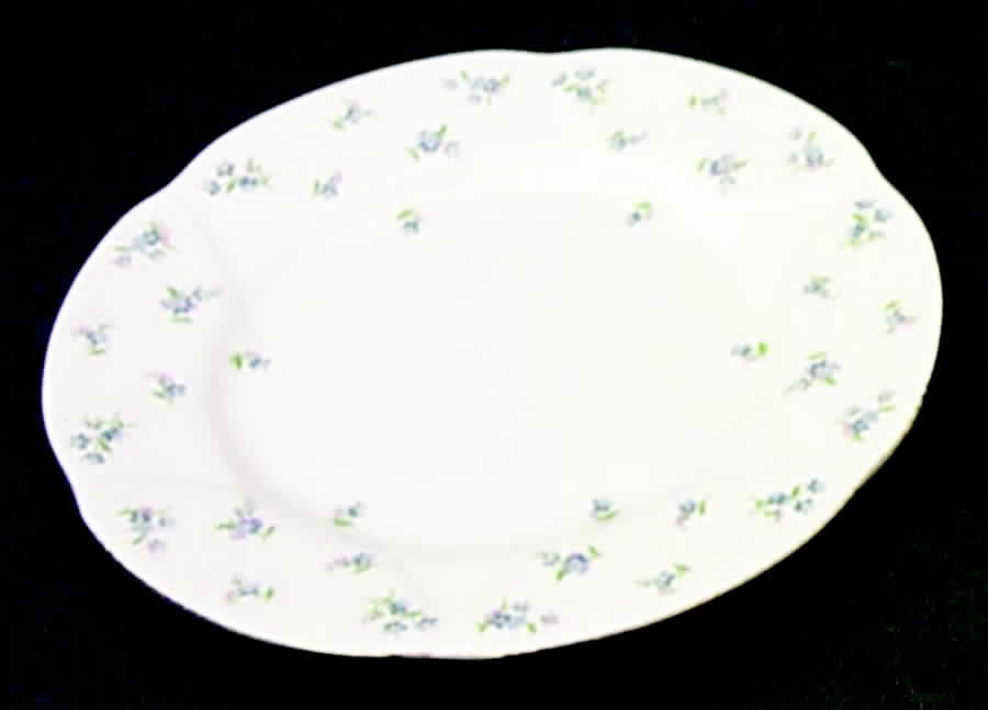 Blue Heaven (Fan Embossed) Salad Plate by Royal Albert-1