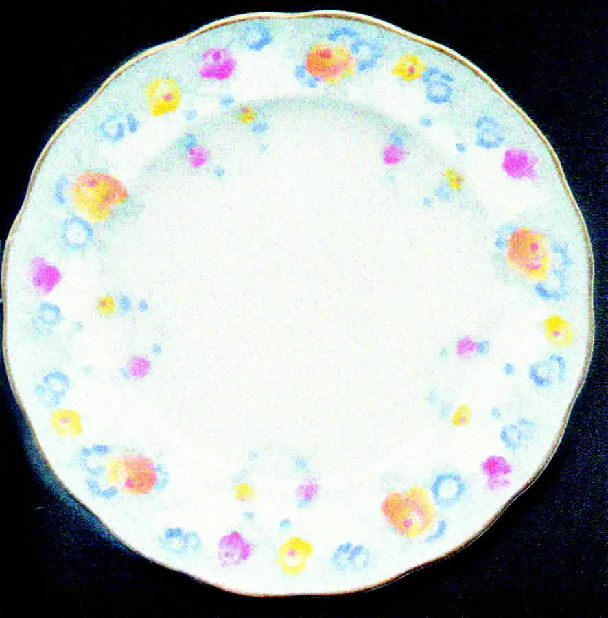 R1019 Bread & Butter Plate by Royal Swansea-1