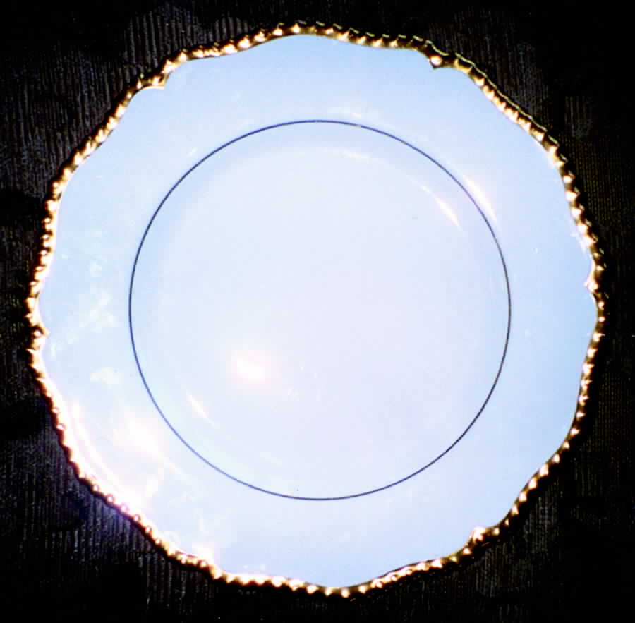 Z1965 Dinner Plate by Royal Worcester-1
