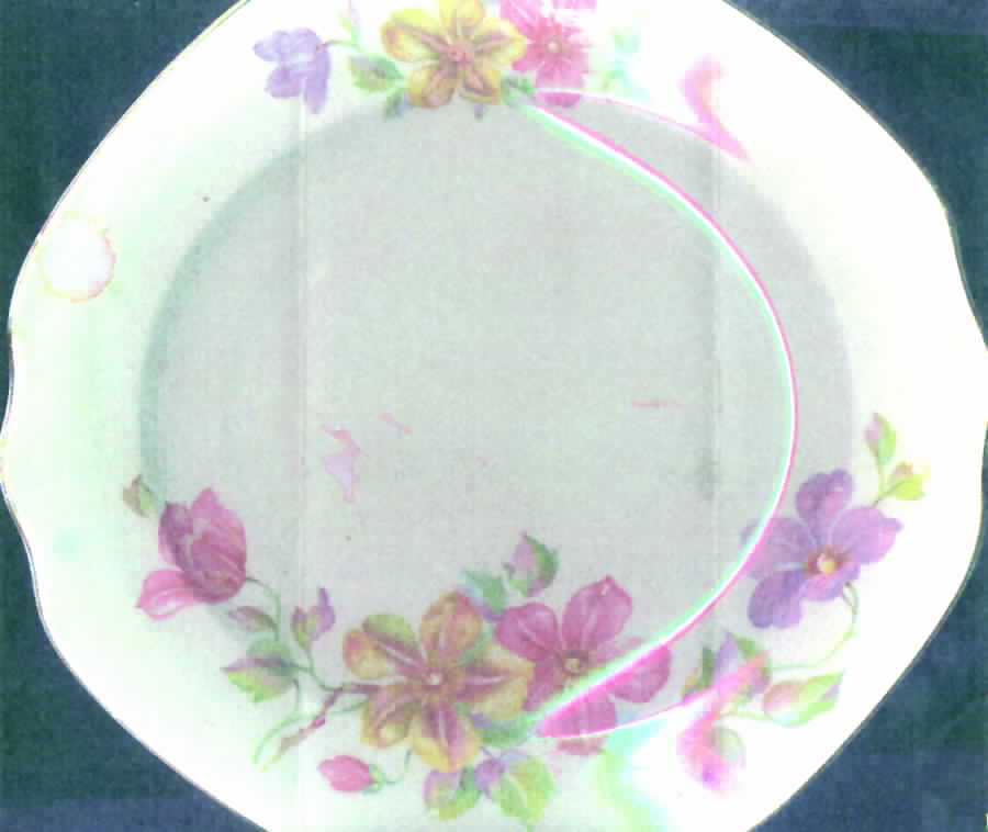 Victory Blossom Dinner Plate by Royal (USA)-1