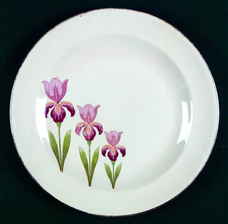 Iris Luncheon Plate by Royal (USA)-1
