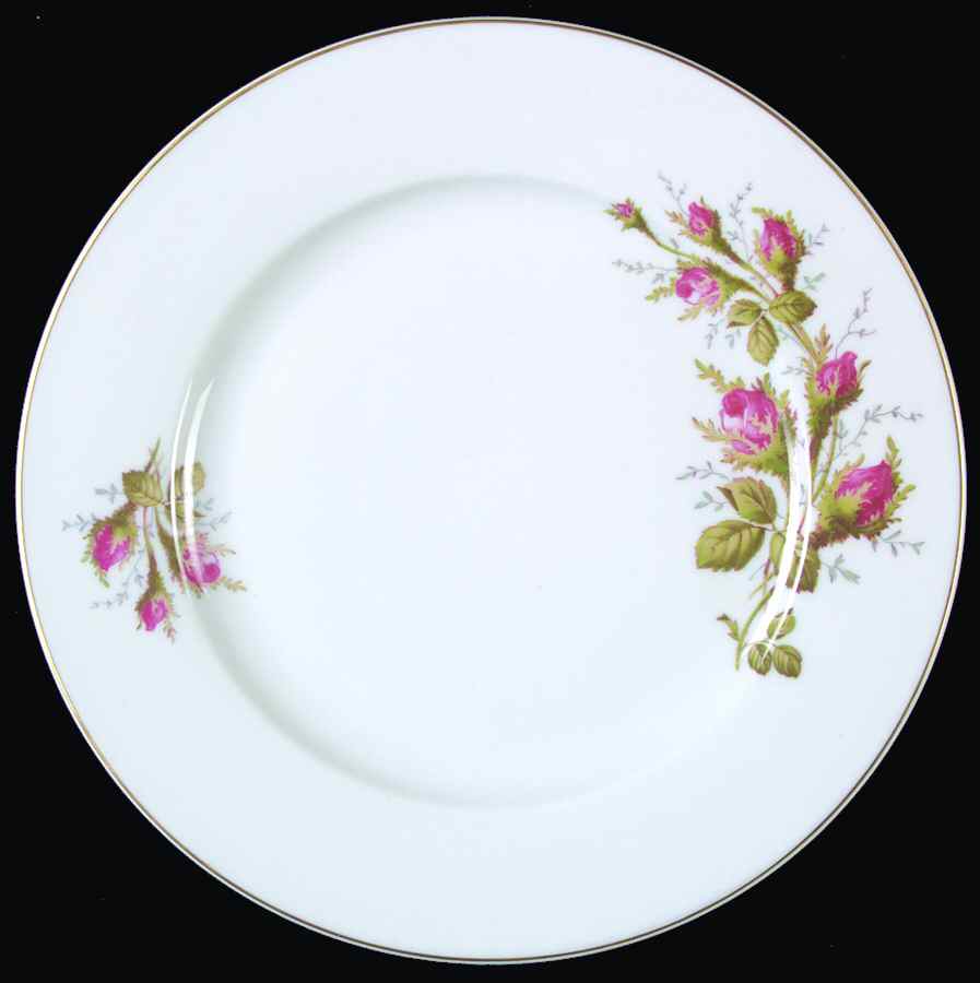 R979 Dinner Plate by Rosenthal - Continental-1