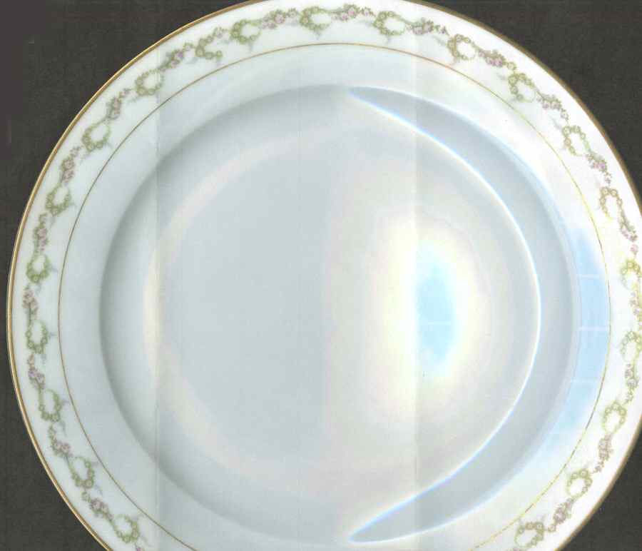 RDN83 Dinner Plate by M Redon-1
