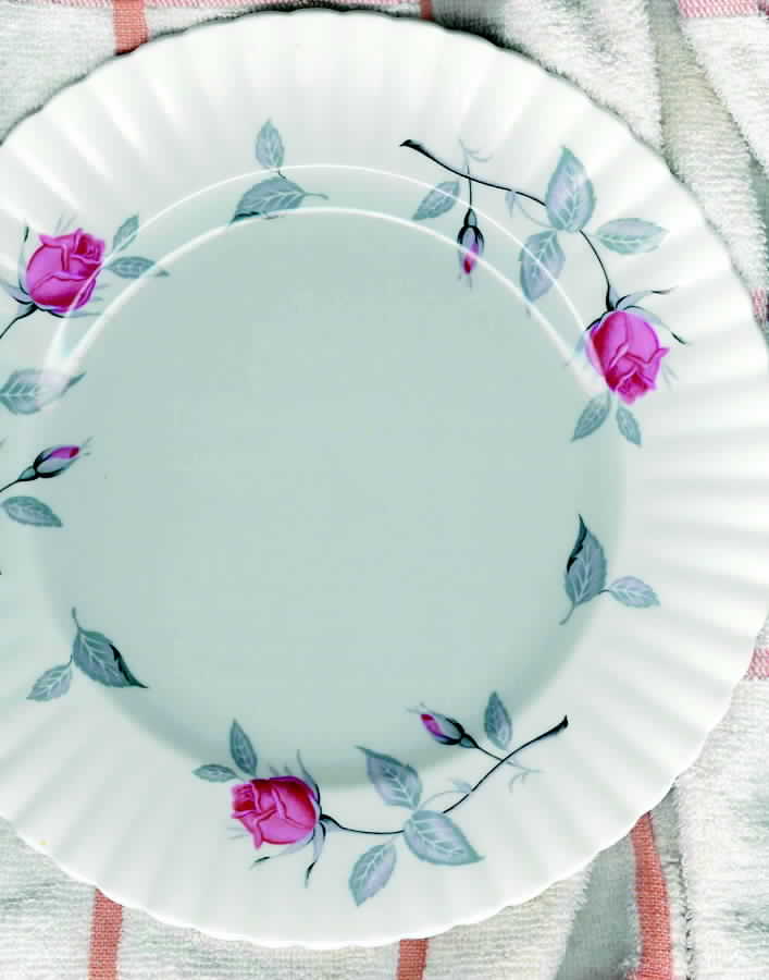 ROA78 Dinner Plate by Royal Albert-1