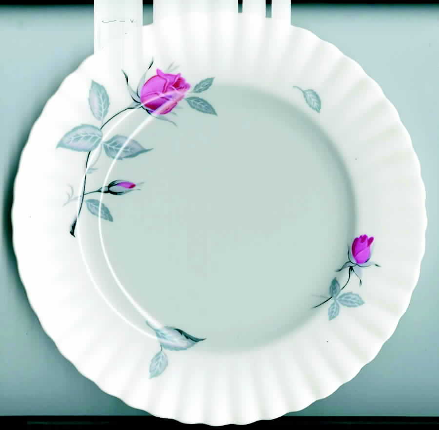 ROA78 Salad Plate by Royal Albert-1
