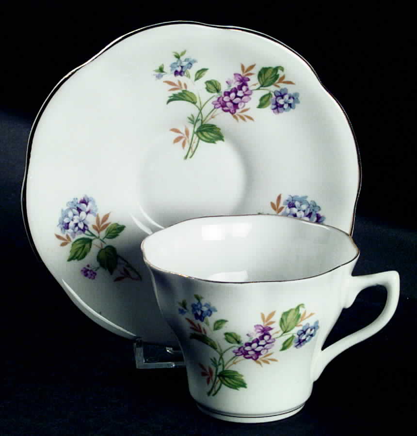 5188 Flat Cup & Saucer Set by Rosina-Queens-1