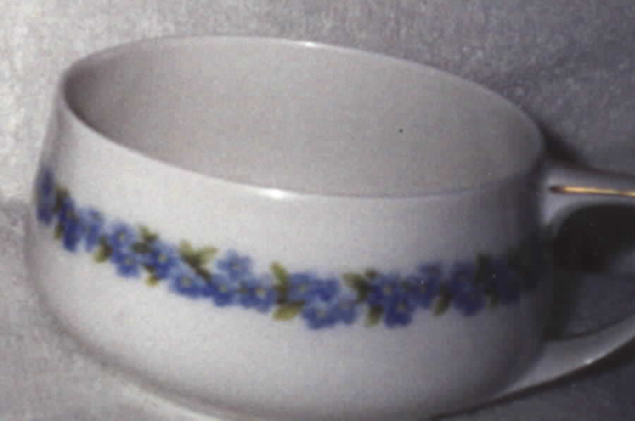 R992 Flat Cup by Rosenthal - Continental-1