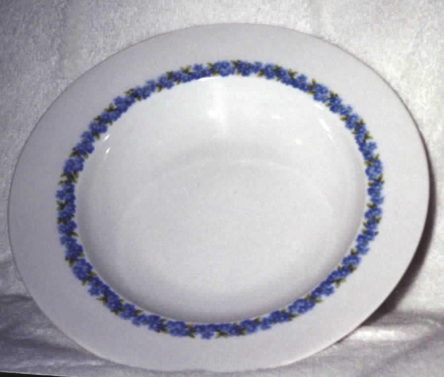 R992 Rim Soup Bowl by Rosenthal - Continental-1