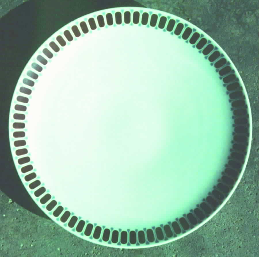 R998 Dinner Plate by Rosenthal - Continental-1