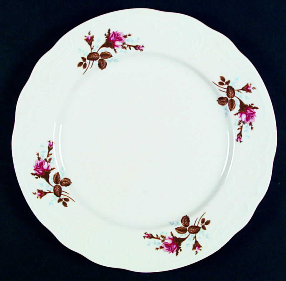 POL31 Dinner Plate by Poland-1