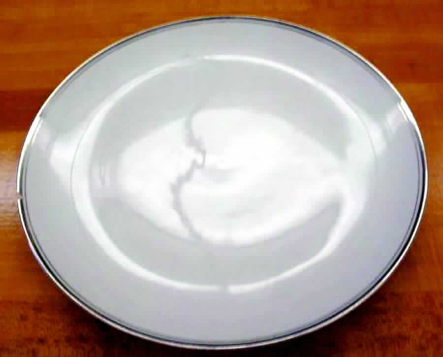 RKR1 Dinner Plate by Royal Karlsbad-1