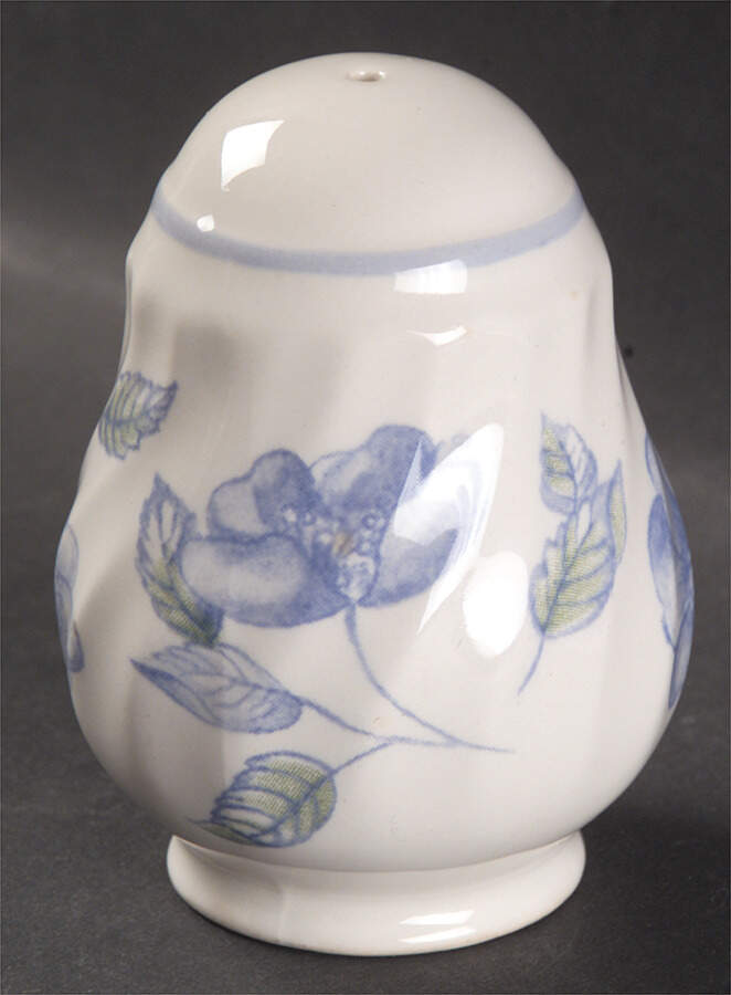 Bristol Blue Salt Shaker by Royal Stafford-1