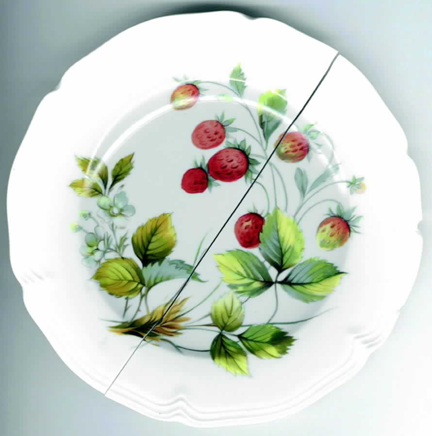 RHD6 Dinner Plate by Rochard-1