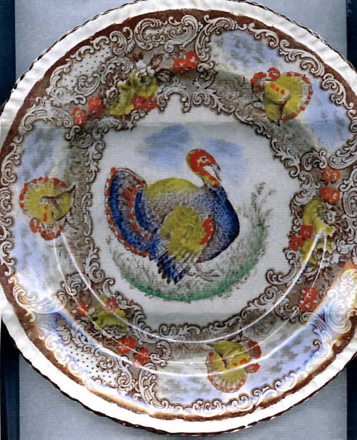 6363 Dinner Plate by Rowland & Marsellus-1