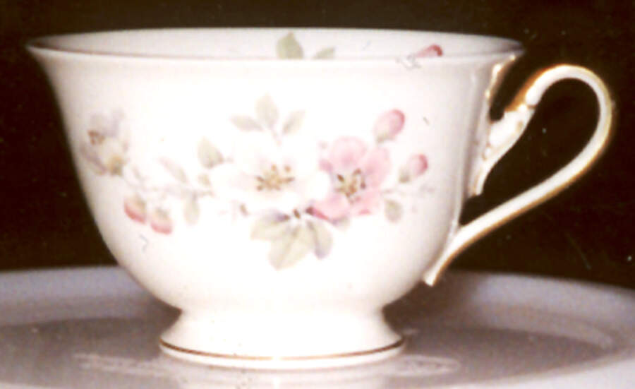 R1009 Footed Cup by Rosenthal - Continental-1